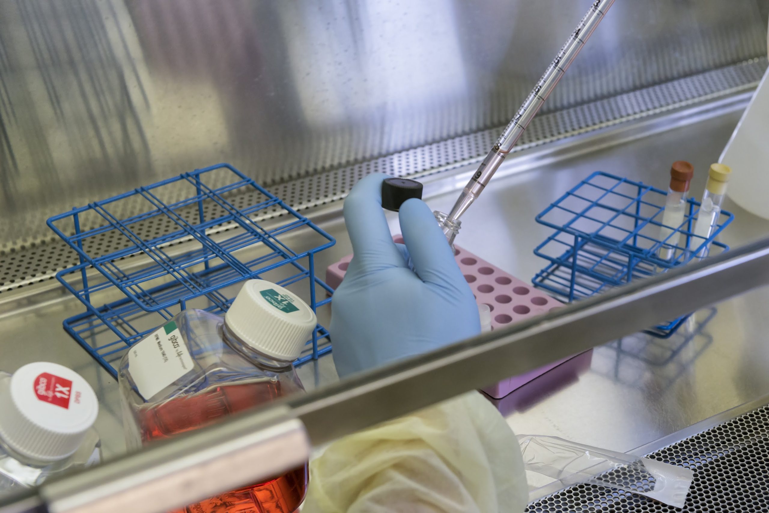 Bioprocessing