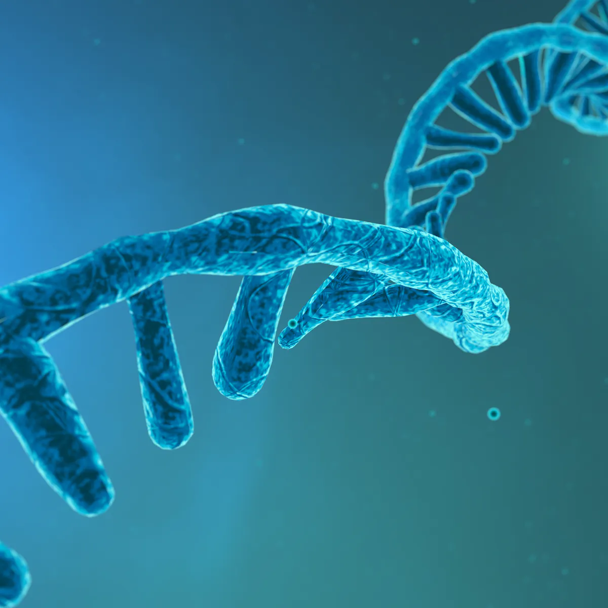 Gene Expression and MicroRNA Arrays