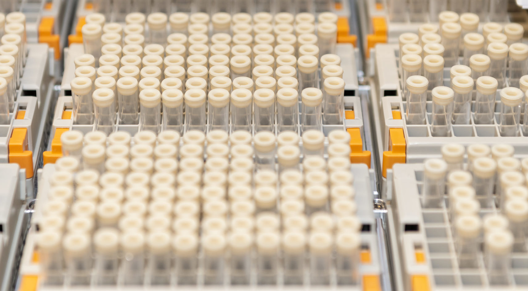 DNA & RNA Processing
