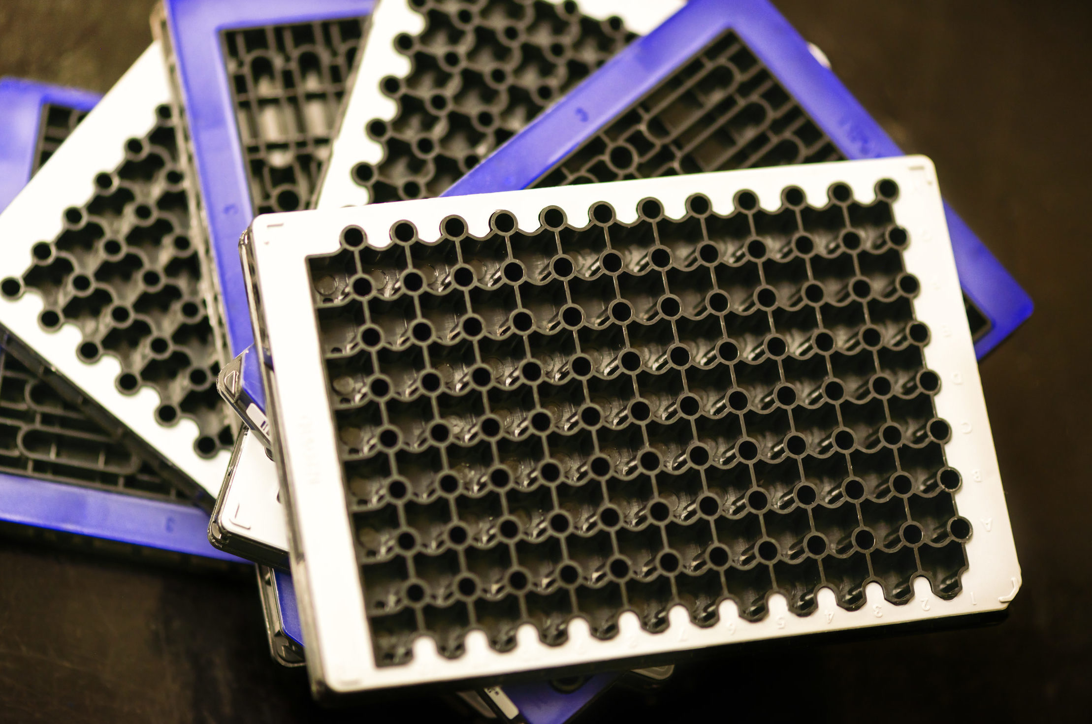 Digital PCR
