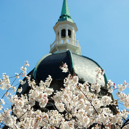 cropped-cropped-cropped-cropped-Hopkins_in_Bloom_LBH_040311_620_415-1-9-1