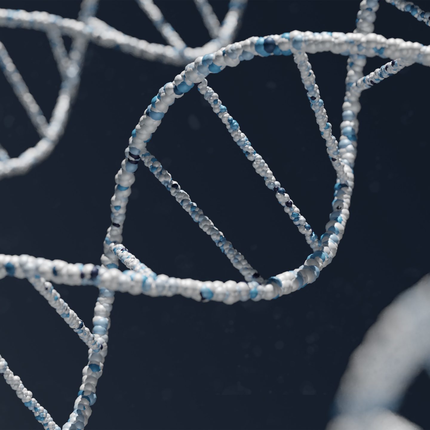 Custom Genotyping