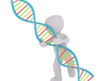 Introducing Nucleic Acids Technologies & Services: The New Fusion of DNA Services and Nucleic Acid Technologies Labs