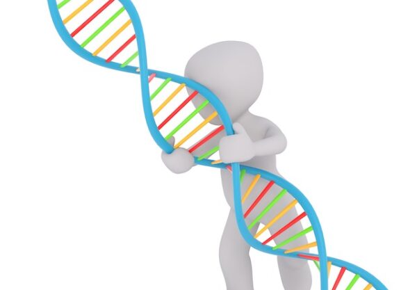 dna-g13b546195_1920