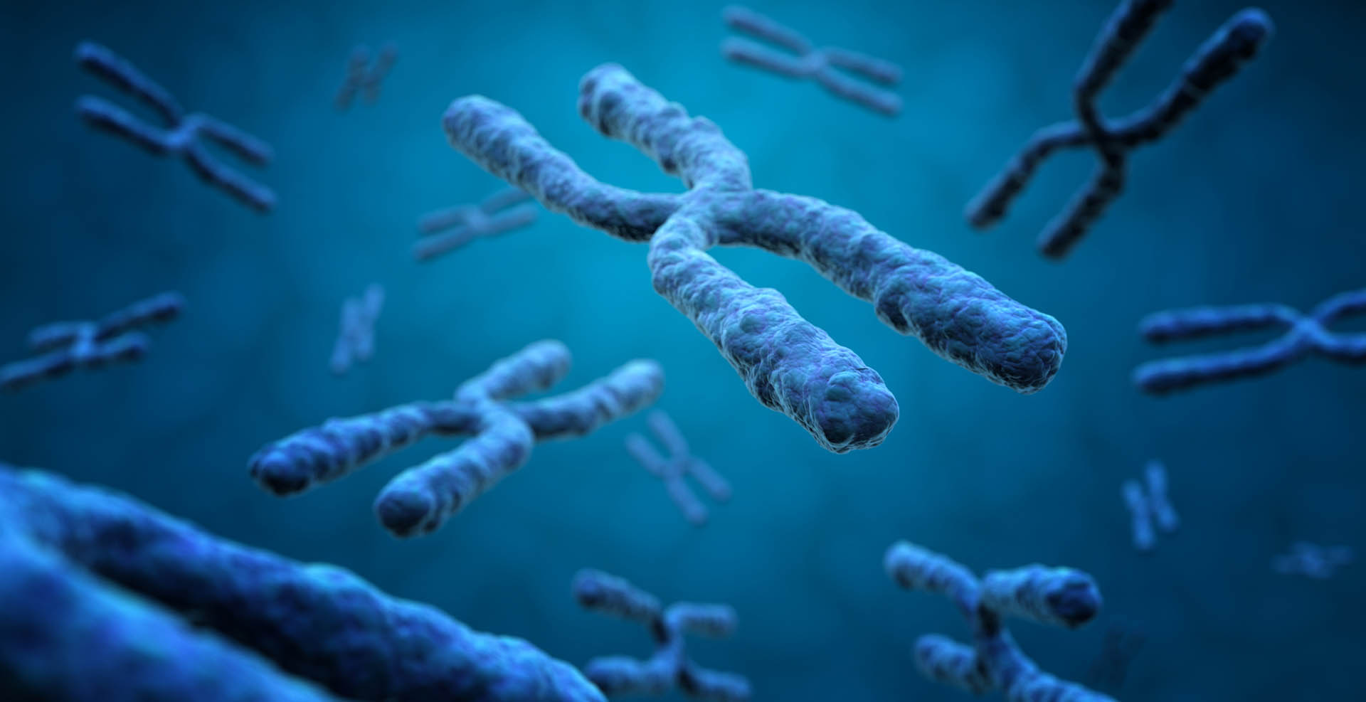 Whole Genome Sequencing