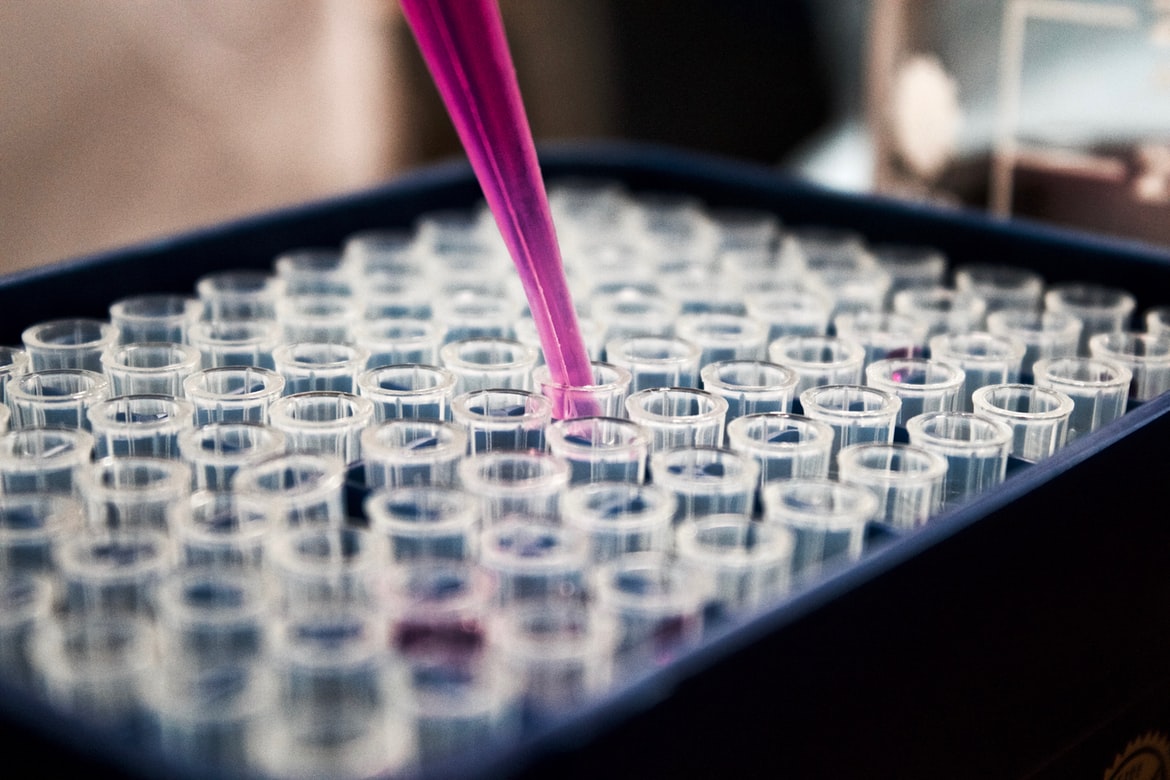 Mycoplasma Testing