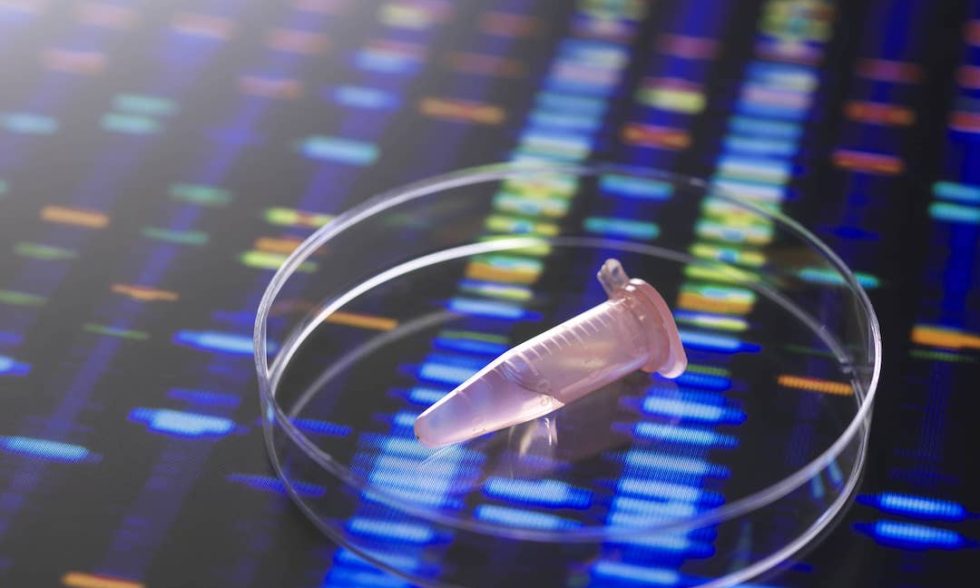 scientific-discovery-in-progress-with-a-dna-gel-in-2025-04-04-09-57-35-utc