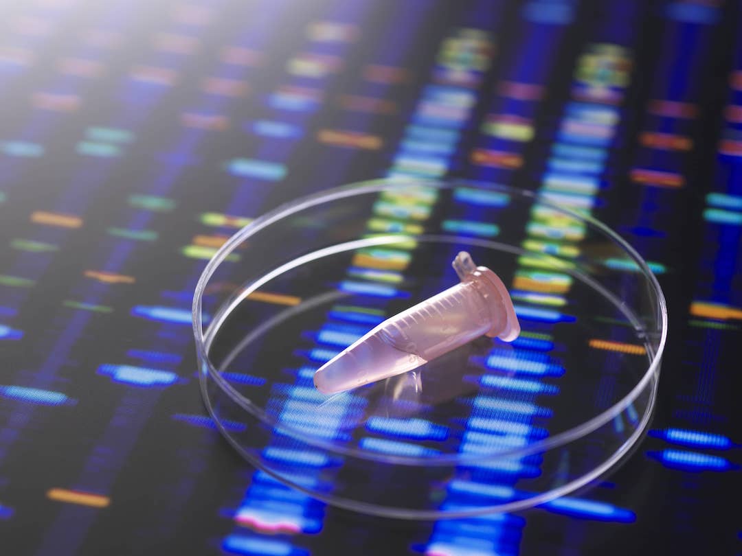 Whole Exome & Targeted Sequencing