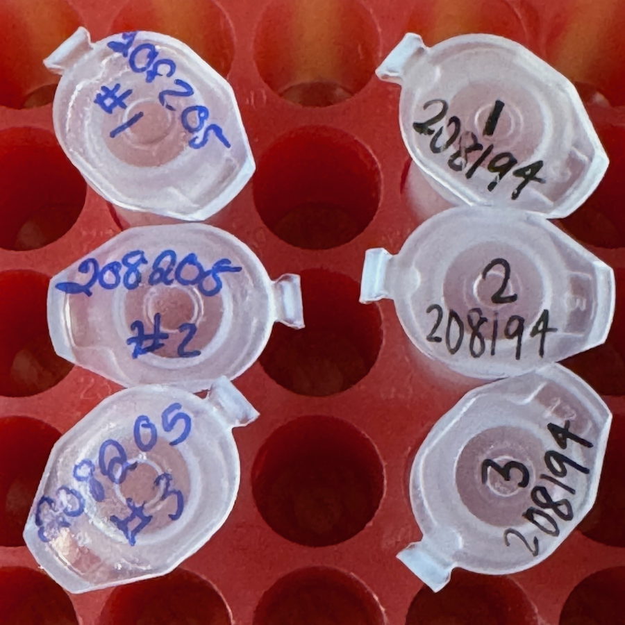 Sanger Sequencing