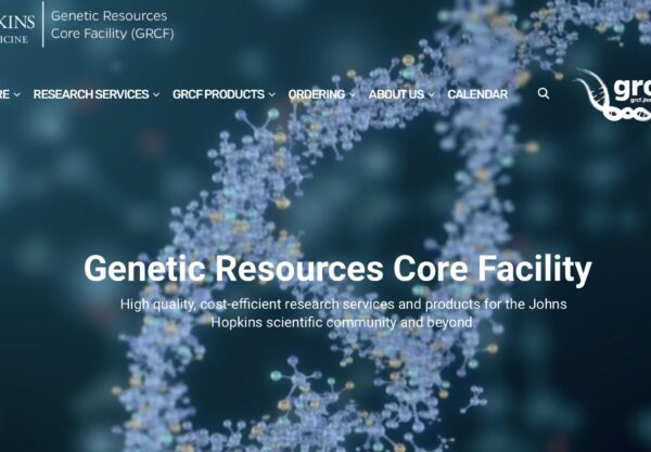 Website Front Page II